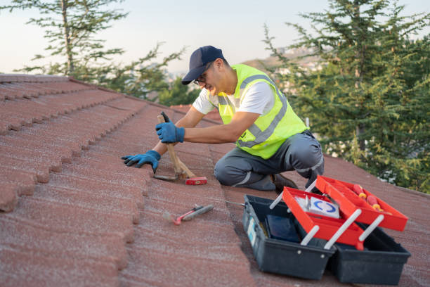 Best Roof Waterproofing Services  in New Richmond, WI